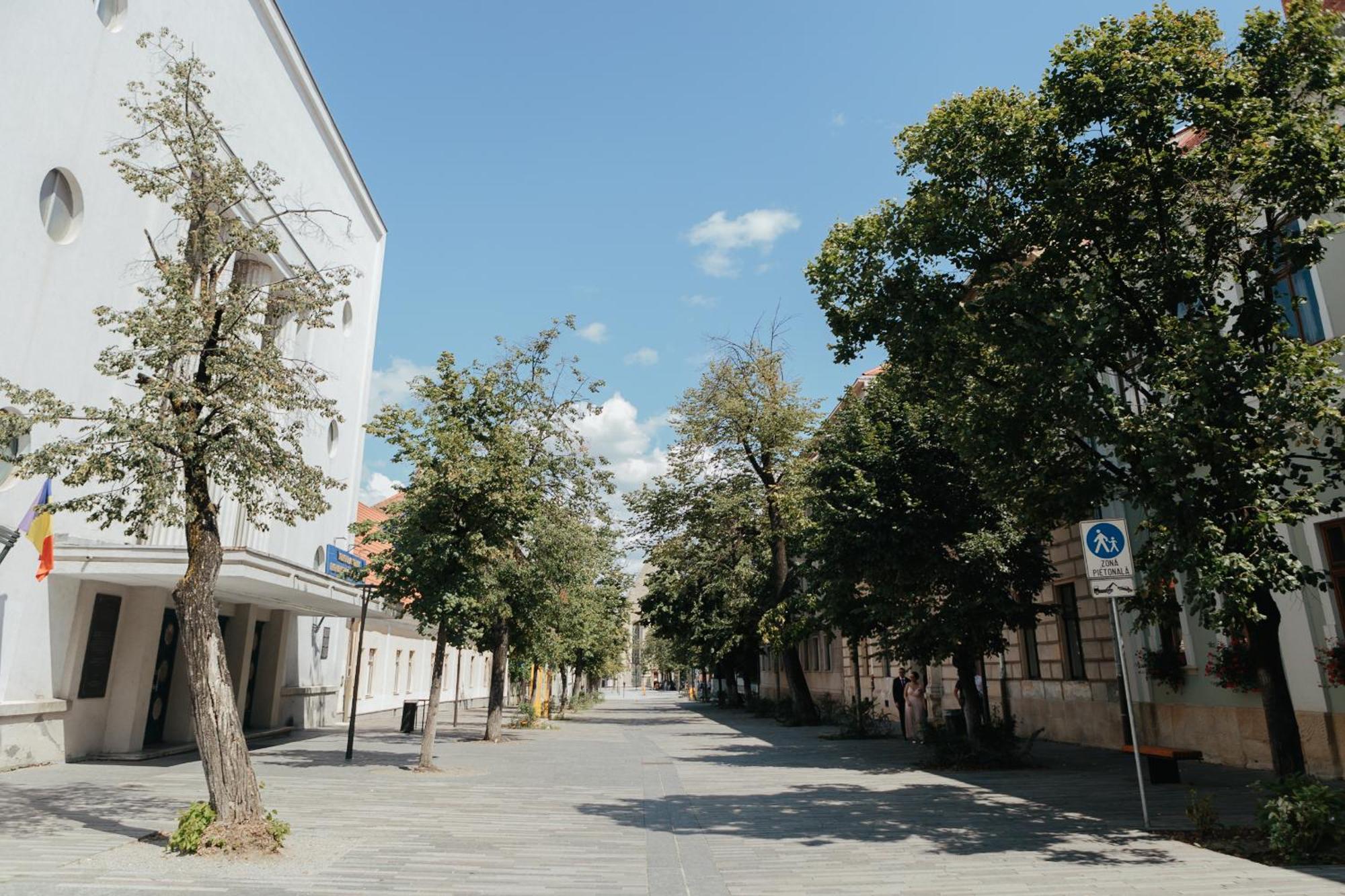 Bethlen Central Studio Клуж-Напока Экстерьер фото